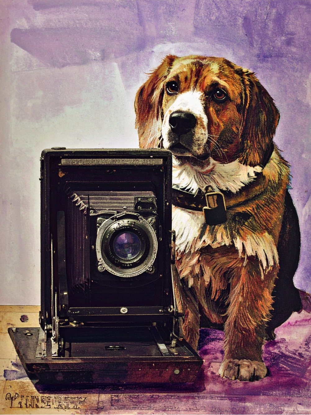 Vintage Camera Art Print with Brown Dog - Purple Accent